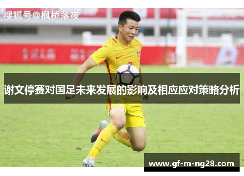 谢文停赛对国足未来发展的影响及相应应对策略分析 谢文停赛对国足未来发展的影响及相应应对策略分析