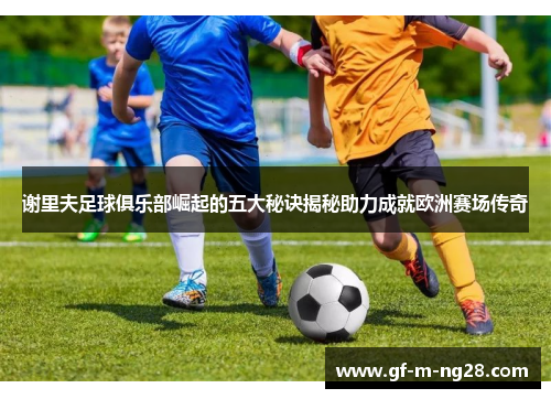 谢里夫足球俱乐部崛起的五大秘诀揭秘助力成就欧洲赛场传奇 谢里夫足球俱乐部崛起的五大秘诀揭秘助力成就欧洲赛场传奇