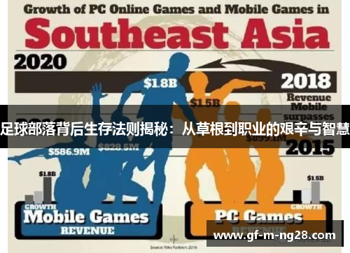 足球部落背后生存法则揭秘:从草根到职业的艰辛与智慧 足球部落背后生存法则揭秘:从草根到职业的艰辛与智慧